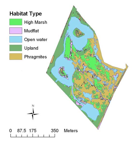 Distribution of six habitat types at Harrier Meadow Marsh after restoration. Though not illustrated here, the southeastern and southwestern sides of the marsh were adjacent to mudflats.