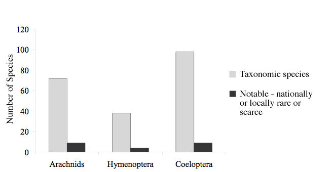 Figure 7. Total number of taxonomic arachnid (Araneae), aculeate Hymenoptera, Coleoptera, and notable species in the sample (2004).