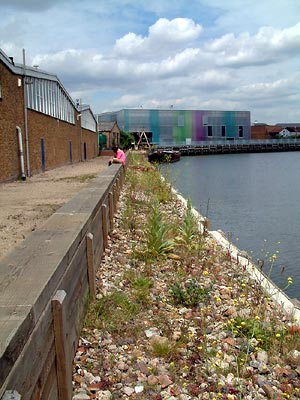 Figure 3: Sentinal, flood defence wall (brownfield site), Deptford, London.