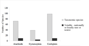 Figure 7: Total number of taxonomic arachnid (Araneae), aculeate Hymenoptera, Coleoptera, and notable species in the sample (2004).