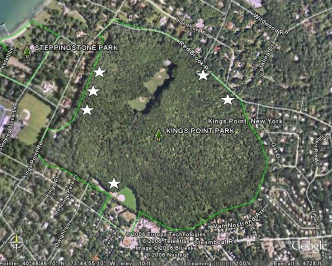 Map (aerial photo) of Kings Point Park. Stars show locations where at least one specimen of <i>Geum vernum</i> was found. (Photo source: Google Earth)