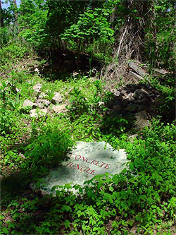 Concrete Jungle sculpture garden created by artist-in-residence Richard K. Mills from Teaneck Creek Conservancy debris.