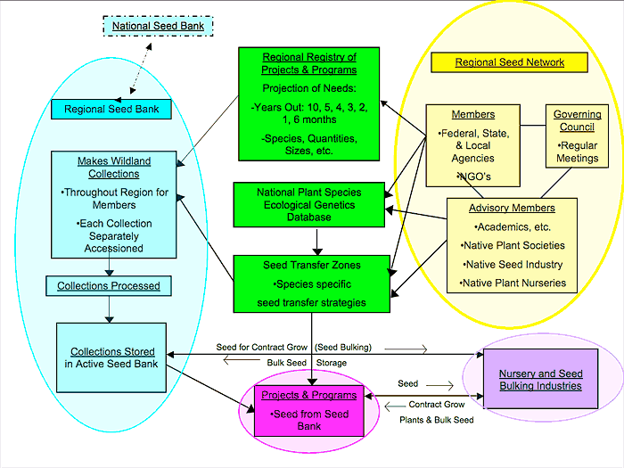 Flow chart showing relationships among all proposed entities and activities in the native seed procurement and production equation.
