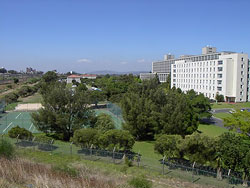 The Tygerberg Medical Campus (TMC) garden areas with the buildings in the background.