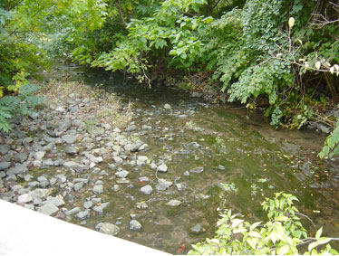 During a storm event, the northern portion of Teaneck Creek adjacent to Fycke Lane exhibits 