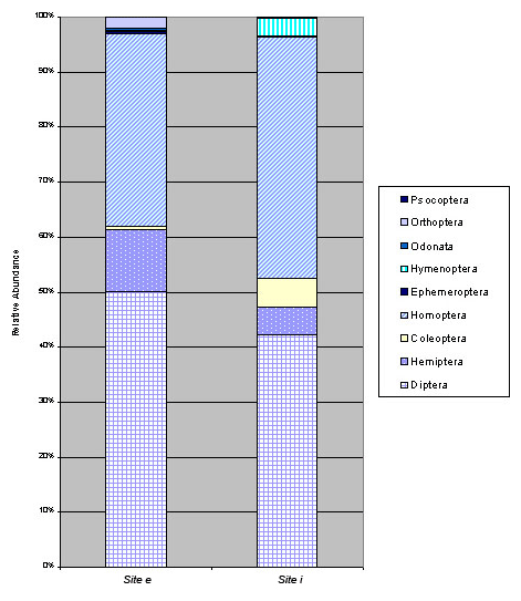 Figure 2: Relative abundance of insect orders at sites e and i.