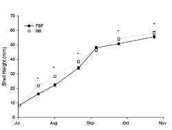 Figure 3. Changes in mean shell (±SE) height (mm) of juvenile oysters transplanted to Floyd Bennett Field (FBF; •) and Bergen Basin (BB; O) in Jamaica Bay (New York) during summer 2003.